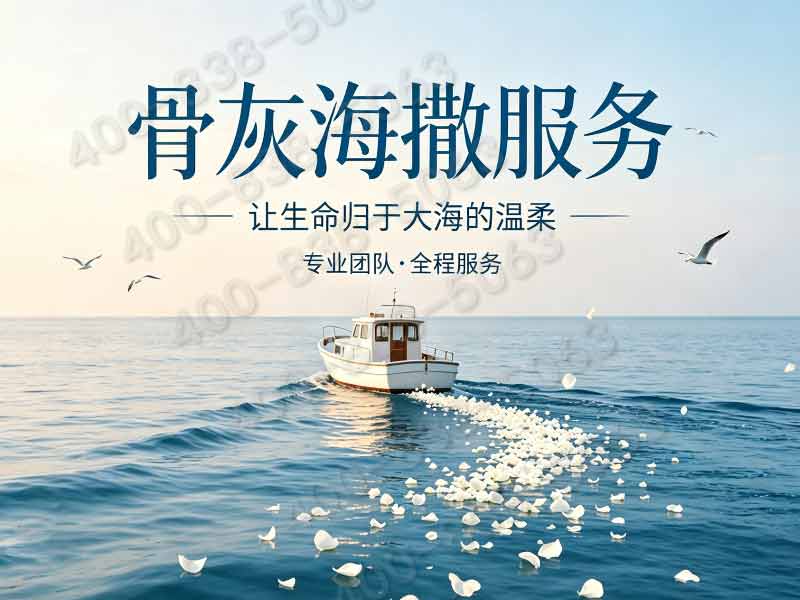 “骨灰海撒办理需要几个人签字的详细流程与注意事项”